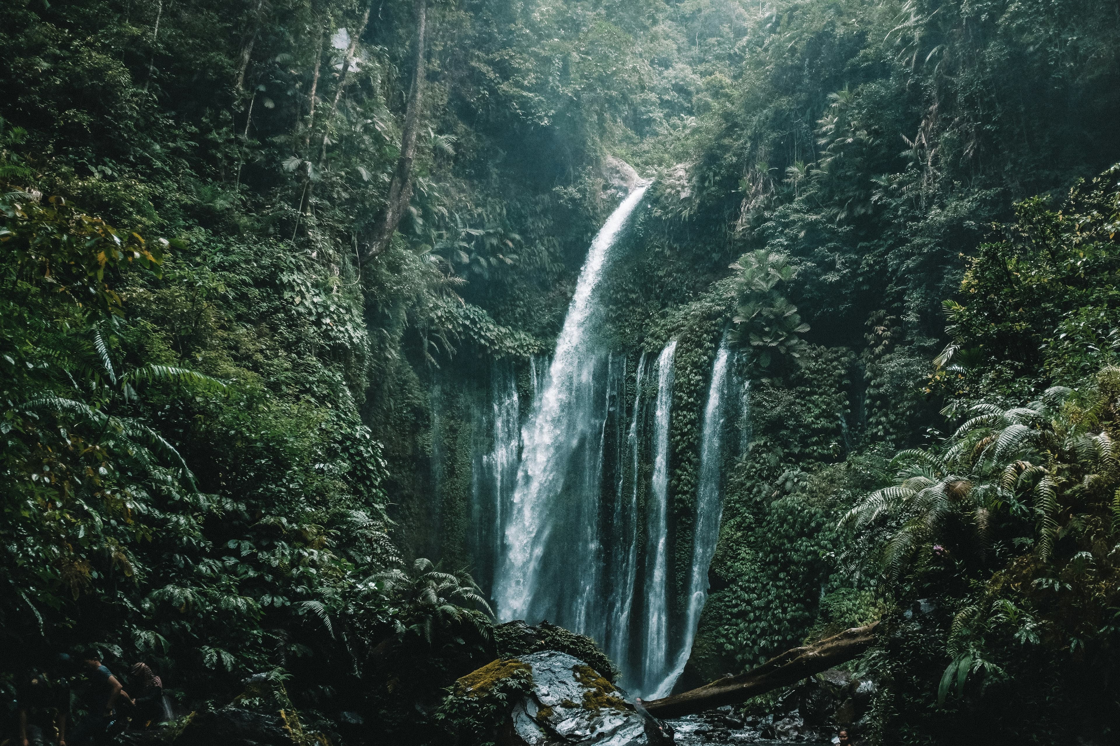 Exploration & Nature
