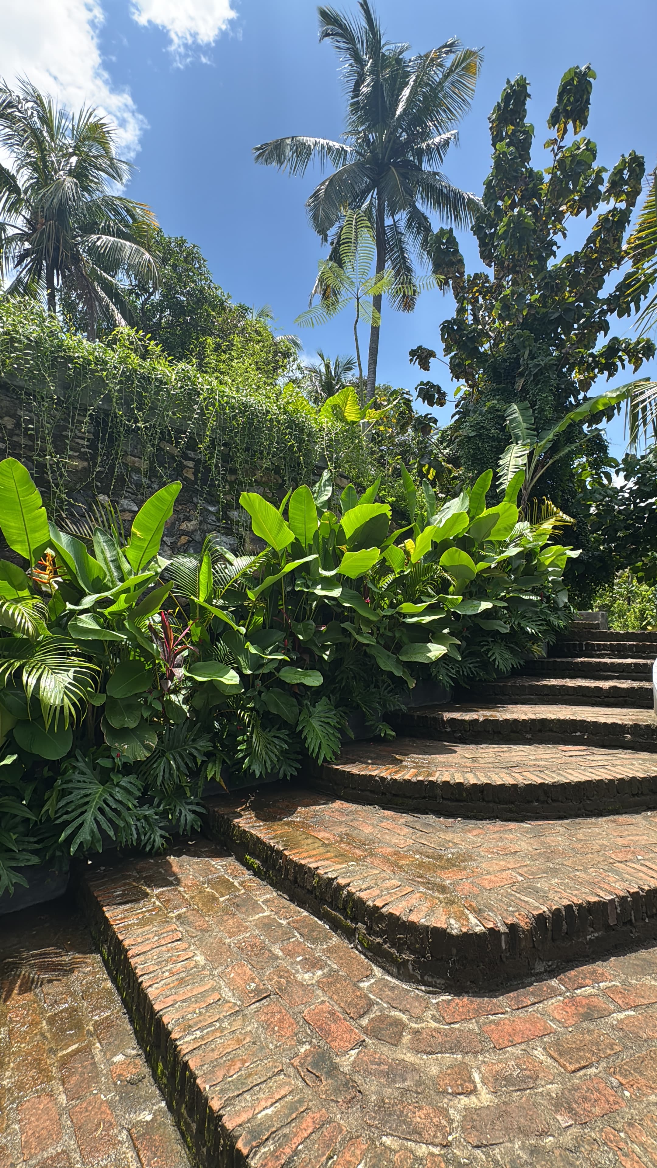 Stone steps through tropical garden at Makai Lombok